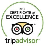 Tripadvisor 2016